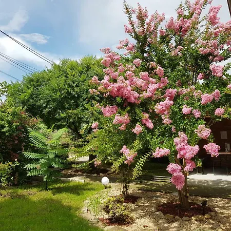 Casa La Petcu بيت ضيافة كوستِنيست