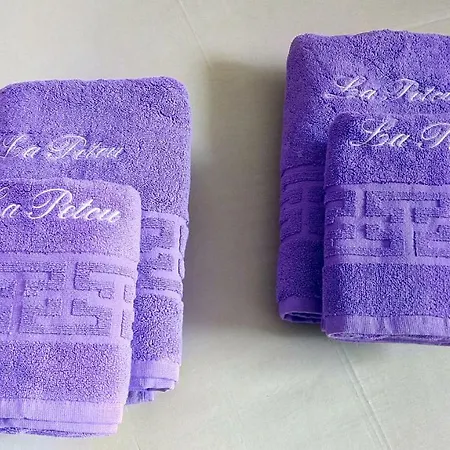 Casa La Petcu 4* 코스티네스티